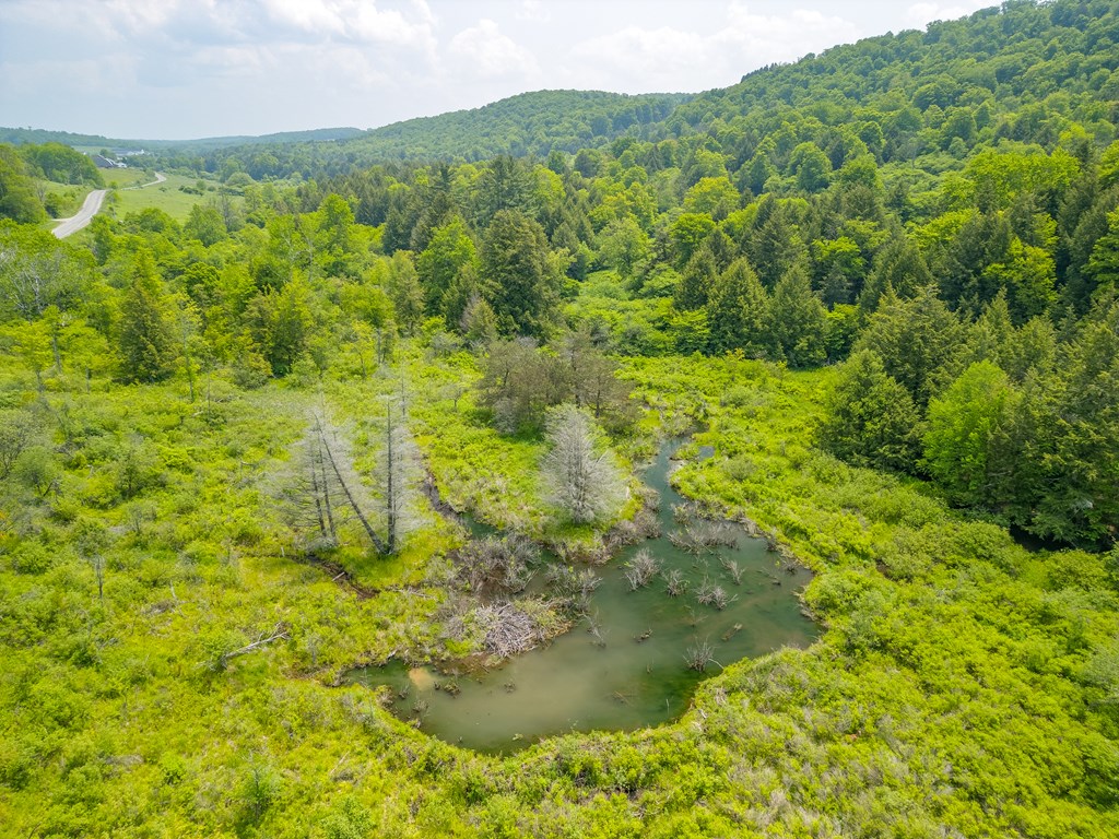 377 Bingham Center Road