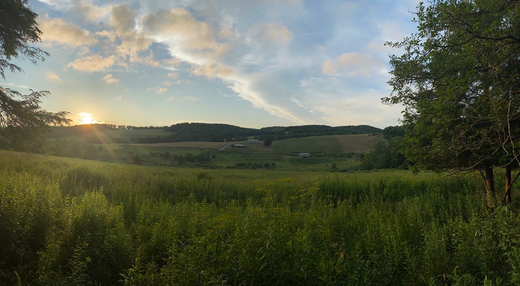 377 Bingham Center Road