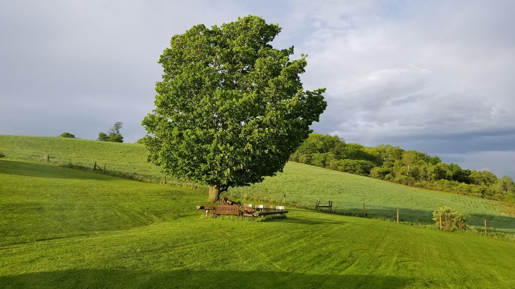 377 Bingham Center Road