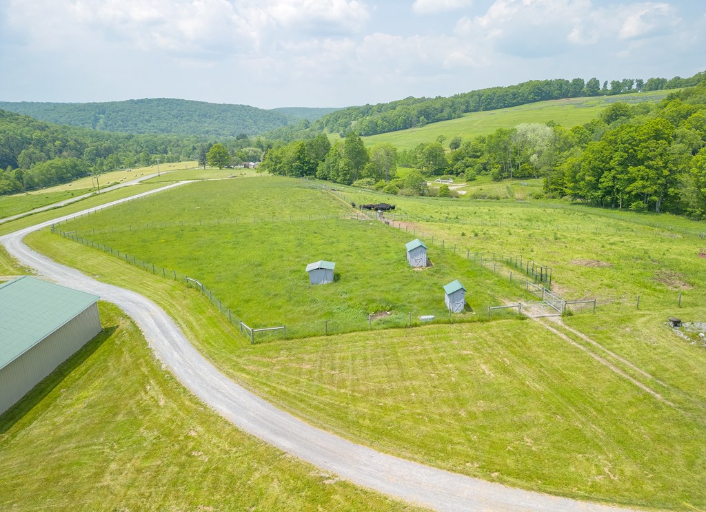 377 Bingham Center Road