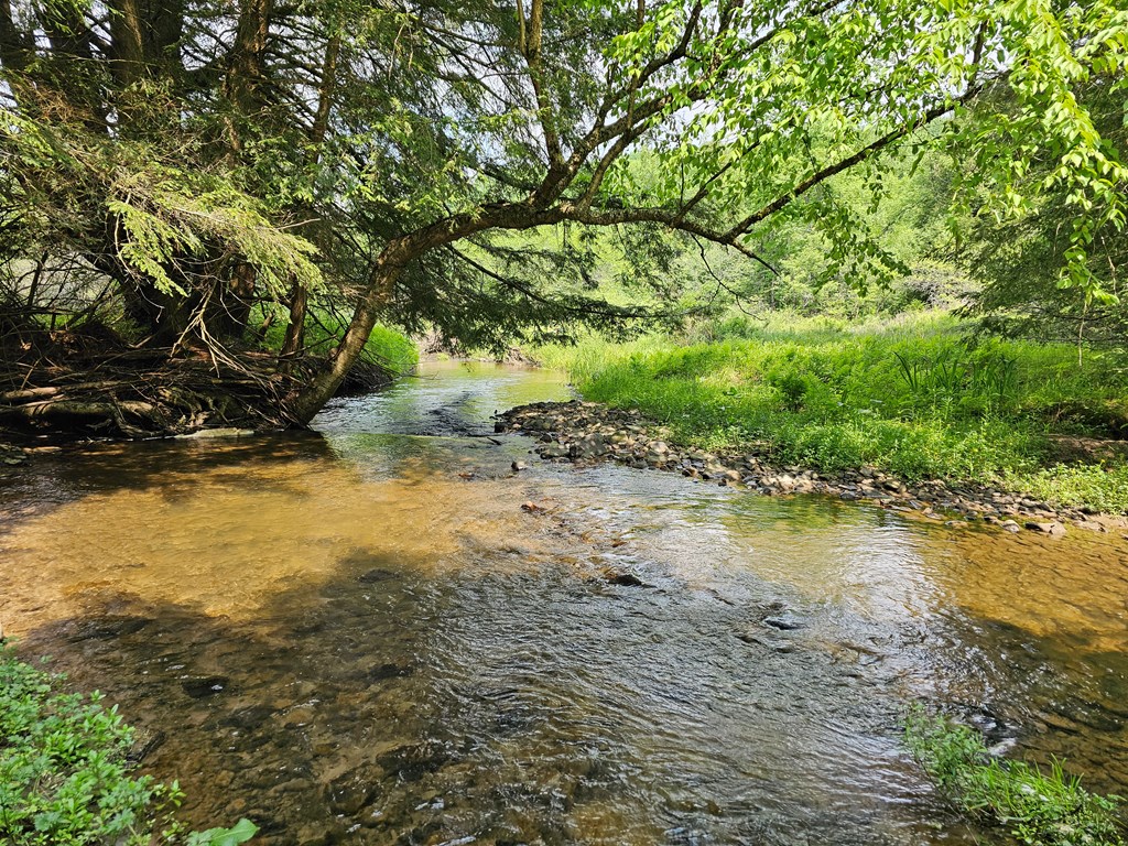 377 Bingham Center Road
