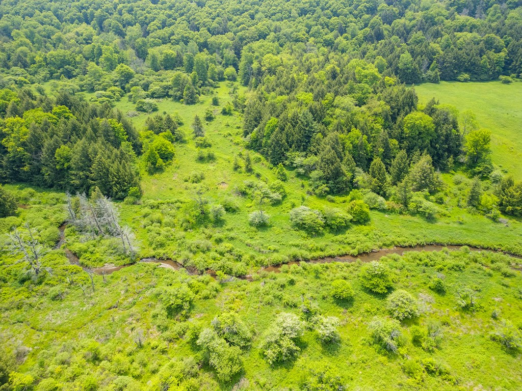 377 Bingham Center Road
