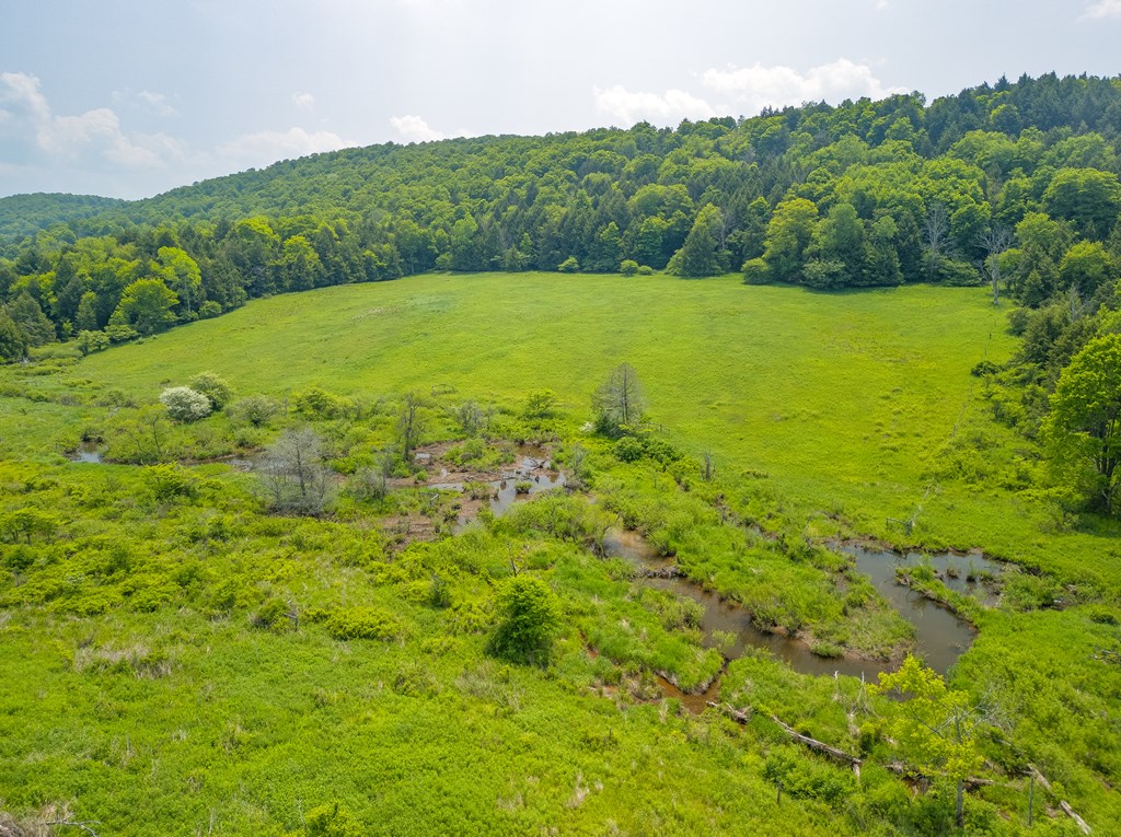 377 Bingham Center Road