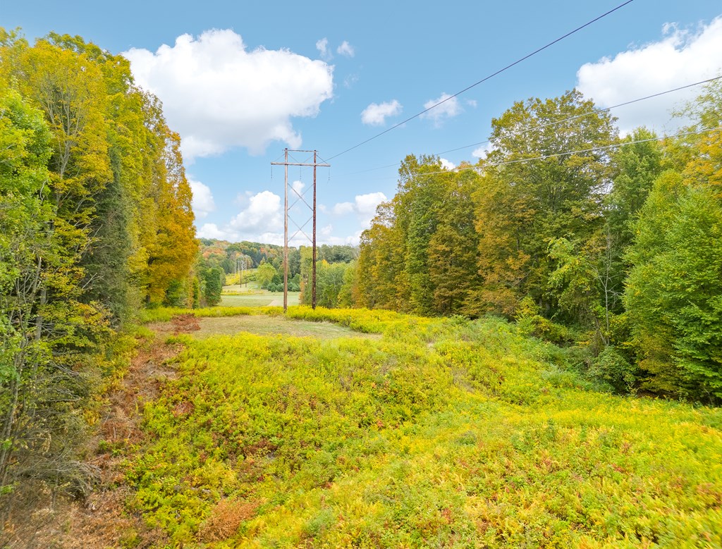 0 Buck Horn Court Road