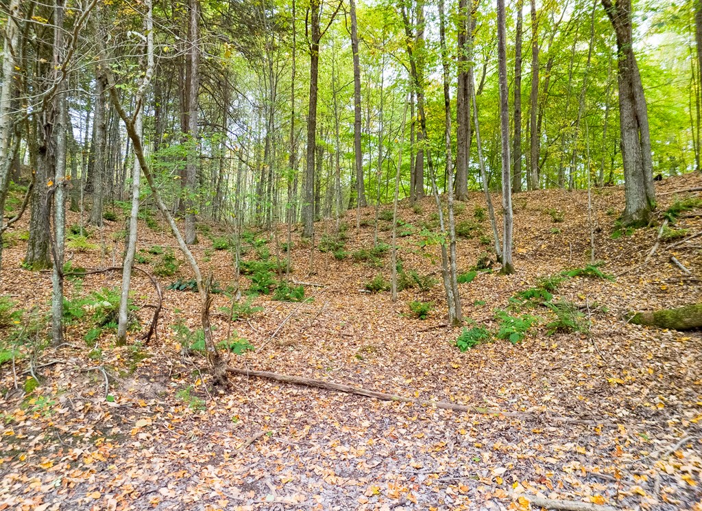 0 Buck Horn Court Road