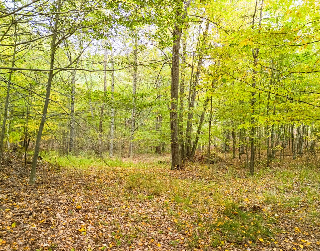 0 Buck Horn Court Road