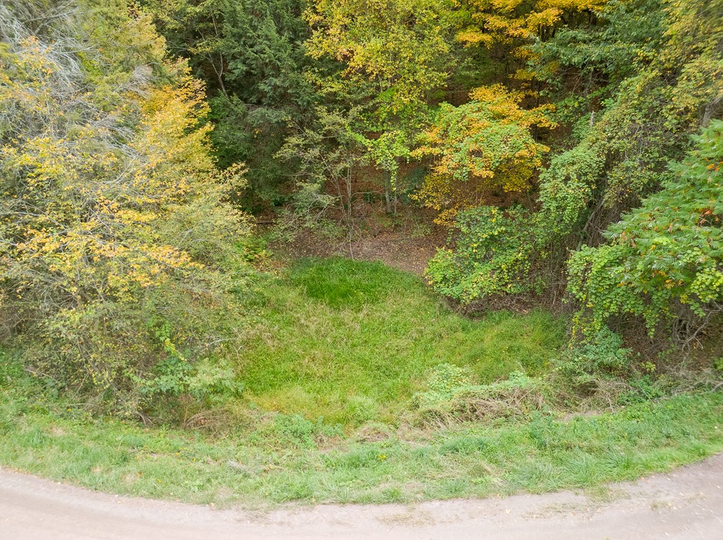 0 Buck Horn Court Road