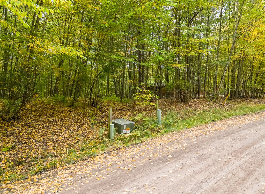 0 Buck Horn Court Road