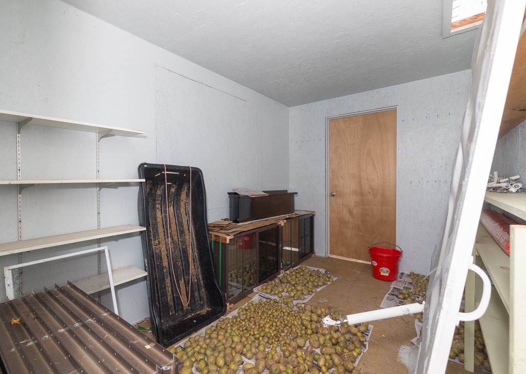 241 County Road 103