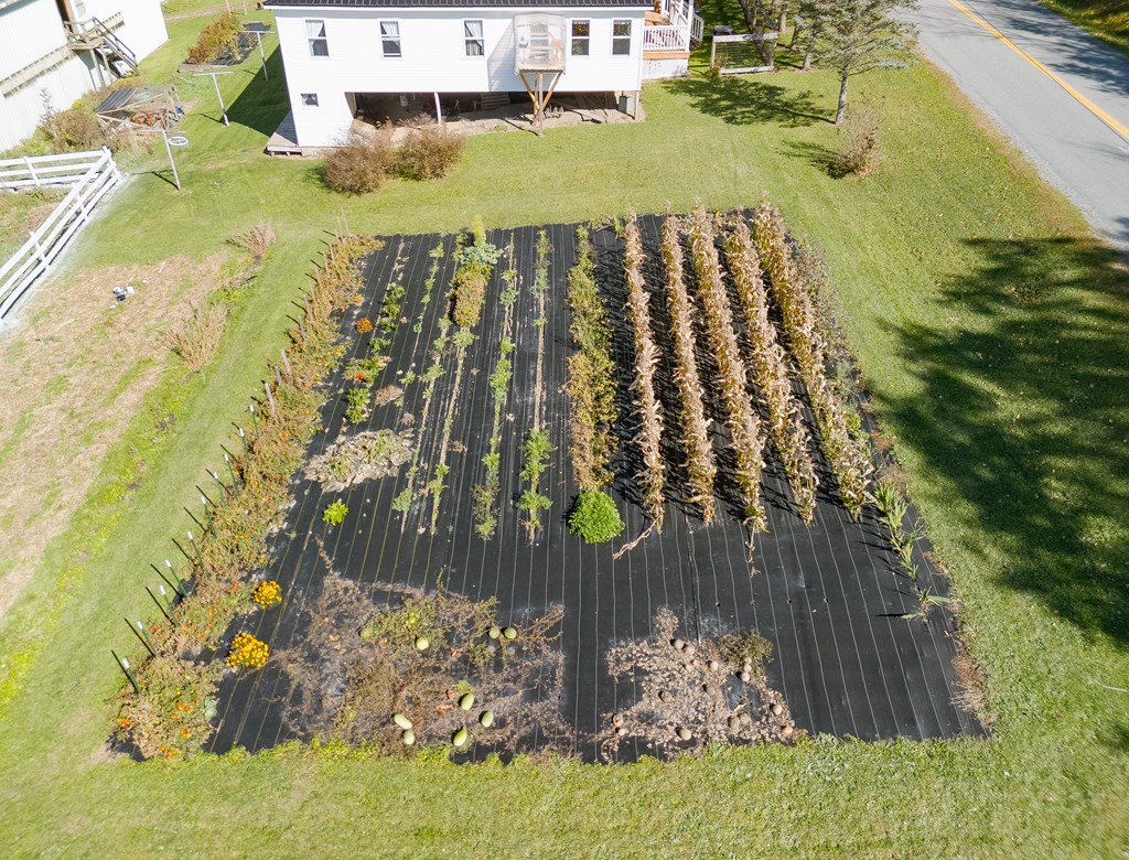 241 County Road 103