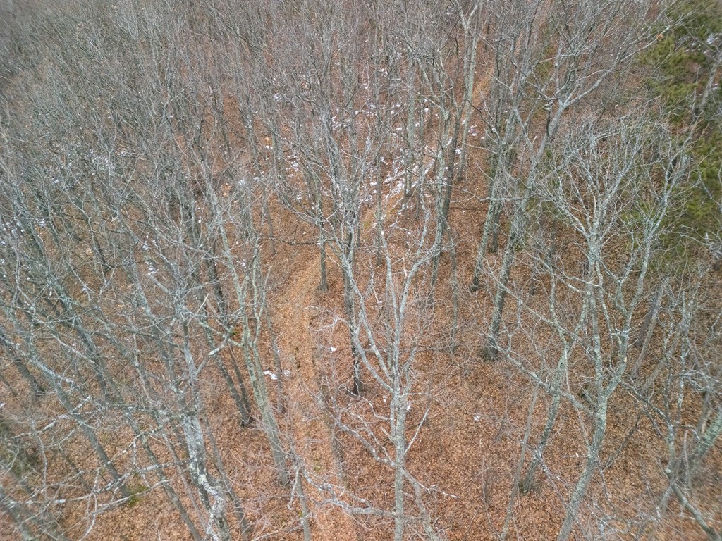 0 Red House Hollow Road