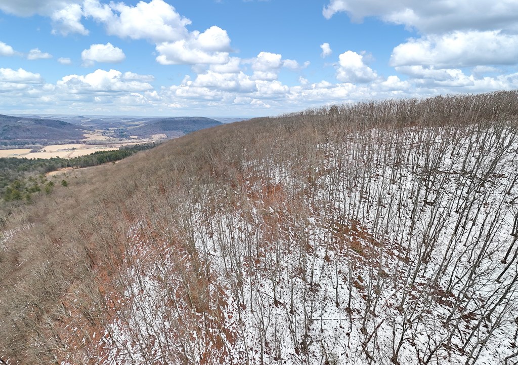 0 Red House Hollow Road