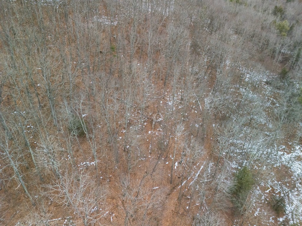 0 Red House Hollow Road