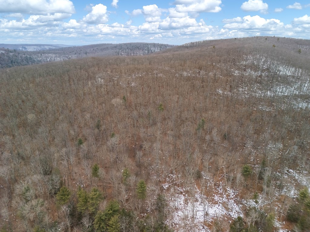 0 Red House Hollow Road