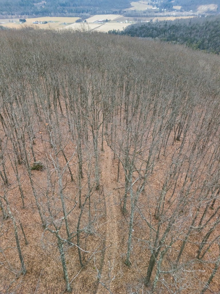 0 Red House Hollow Road