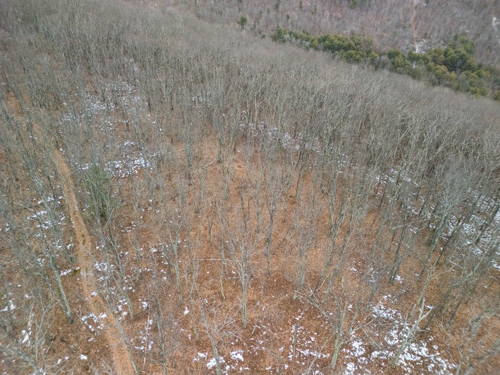 0 Red House Hollow Road