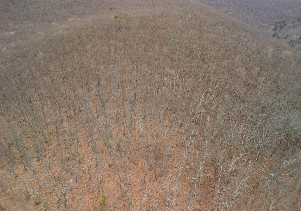 0 Red House Hollow Road