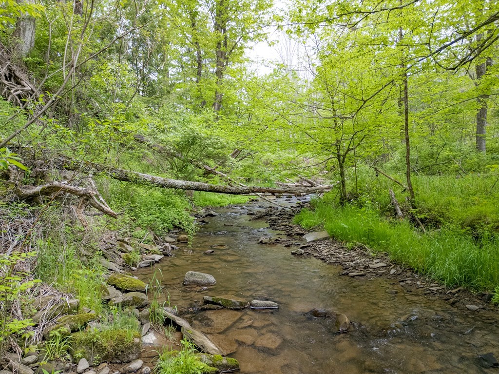 0 Lot A Buckwheat Hollow