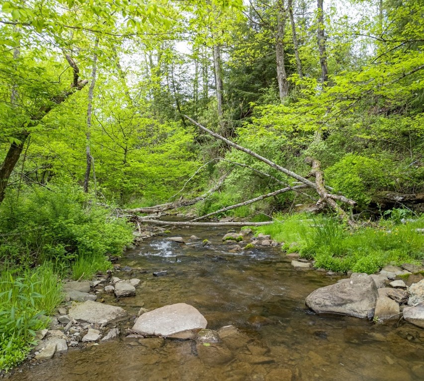 0 Lot A Buckwheat Hollow