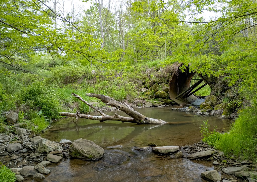 0 Lot A Buckwheat Hollow