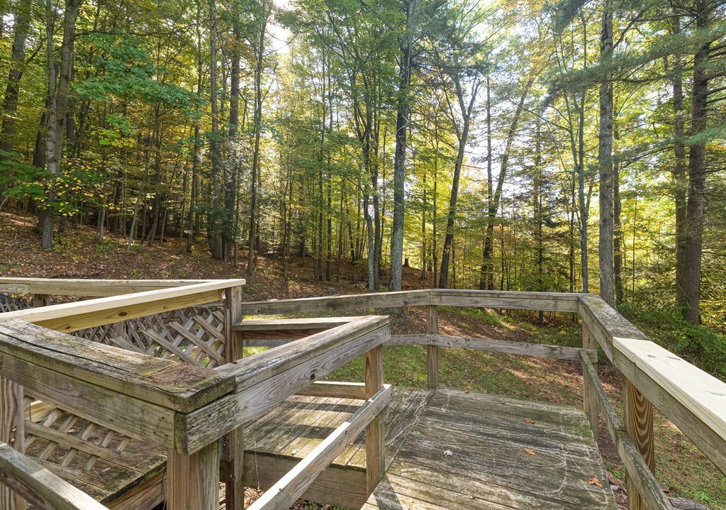 1316 Buckwheat Hollow Road