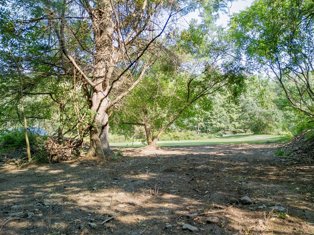 1965 Thornbottom Road