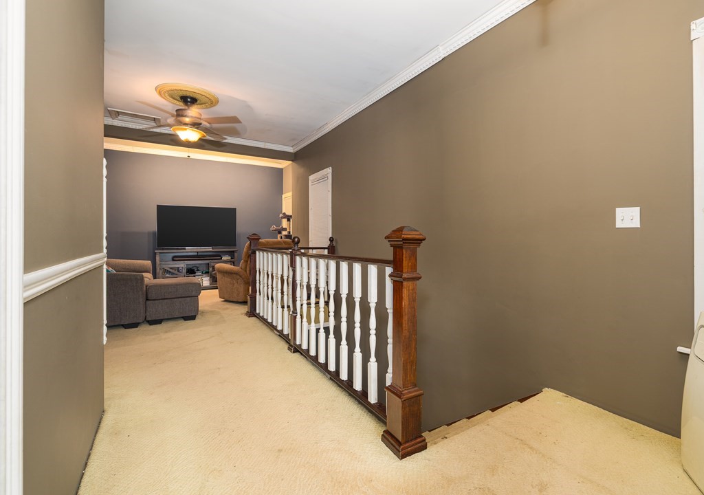 14 Cowanesque Street