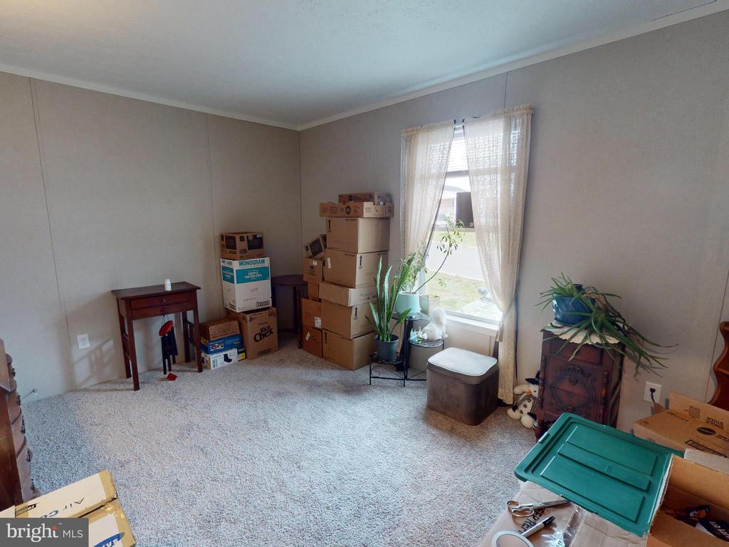 Carpeted room with cardboard boxes, potted plants, and a window with sheer curtains.