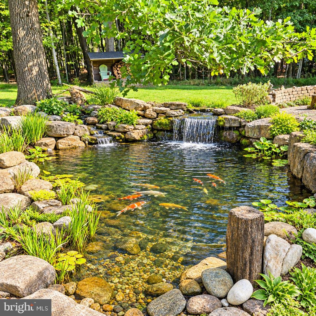 Backyard koi pond with stone edging, a small waterfall, and lush landscaping.