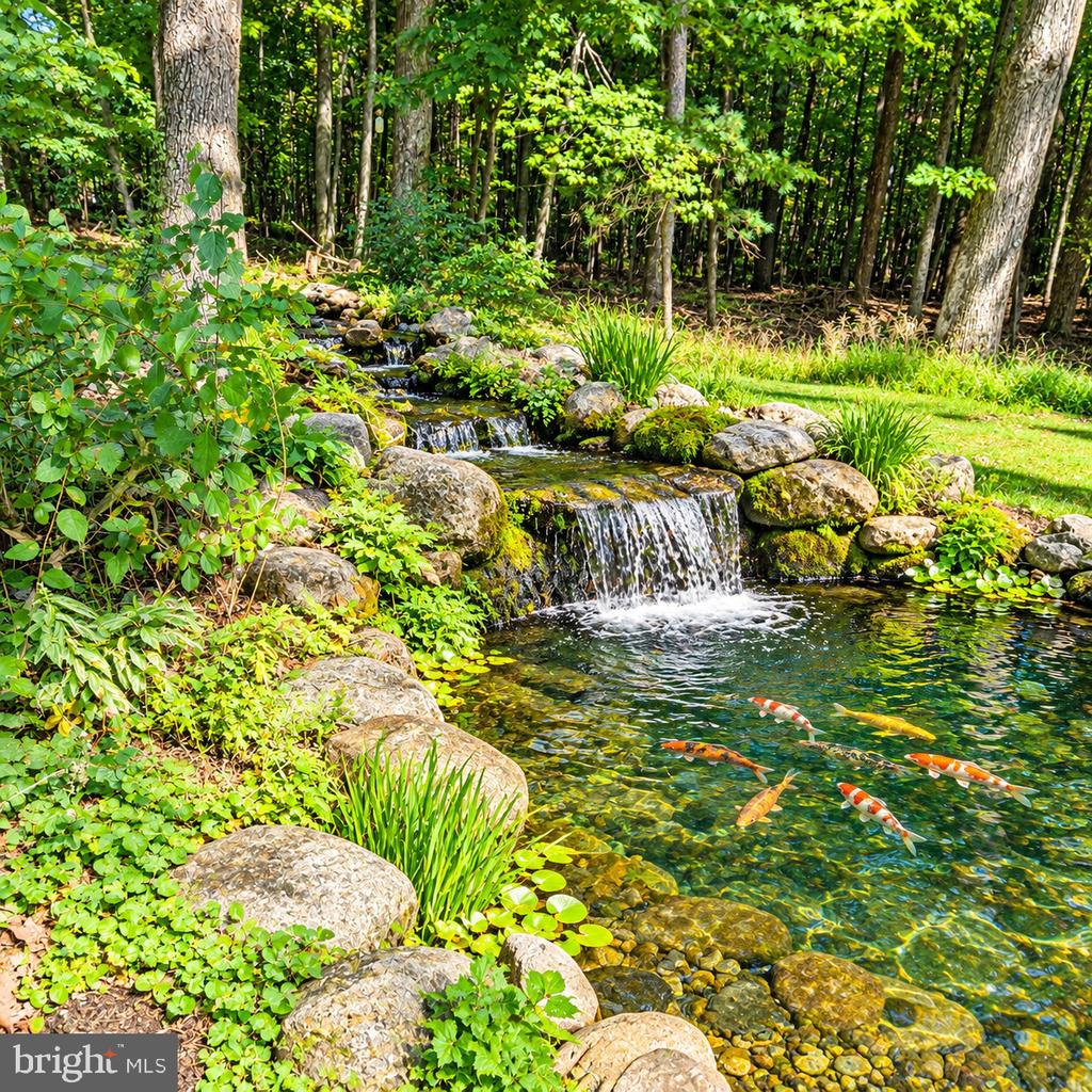 Koi pond with a tiered stone waterfall, colorful fish, and lush woodland landscaping.