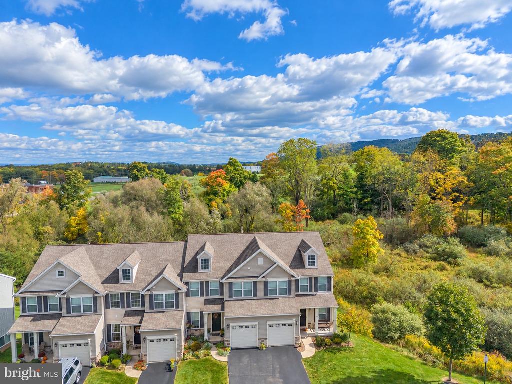 Aerial view of attached townhomes beneath autumn trees, with a wooded ridge in the distance.