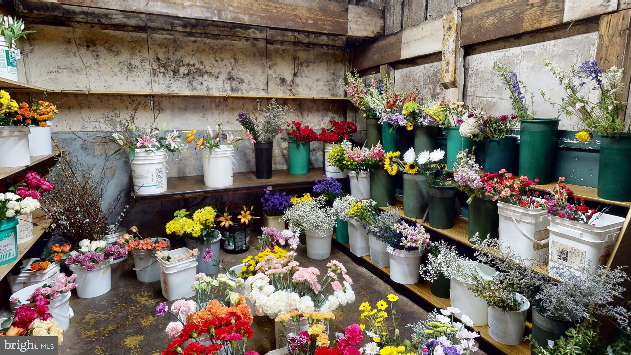 126 BELLEFONTE AVENUE