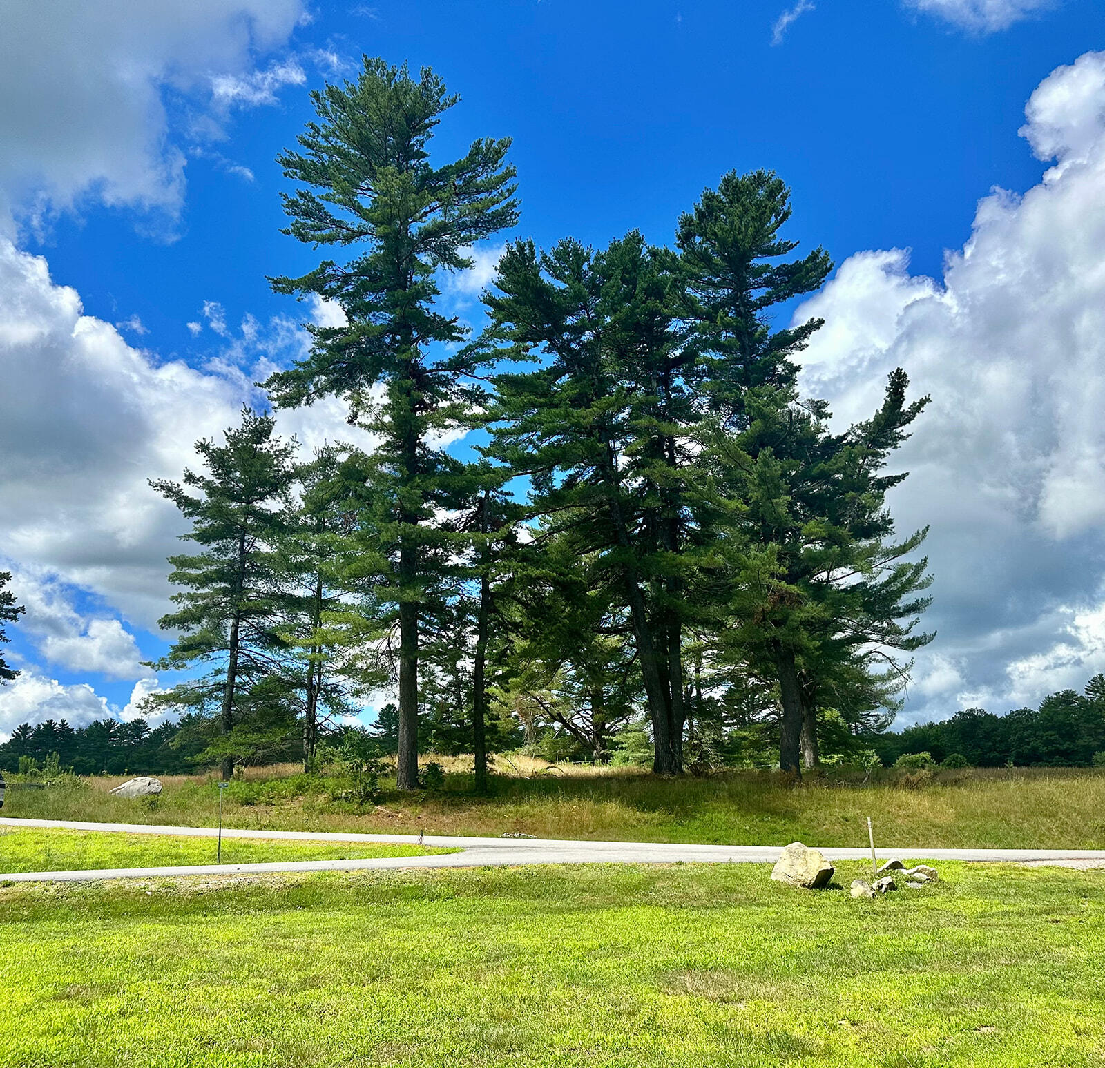 Lot 18 Fairway Drive