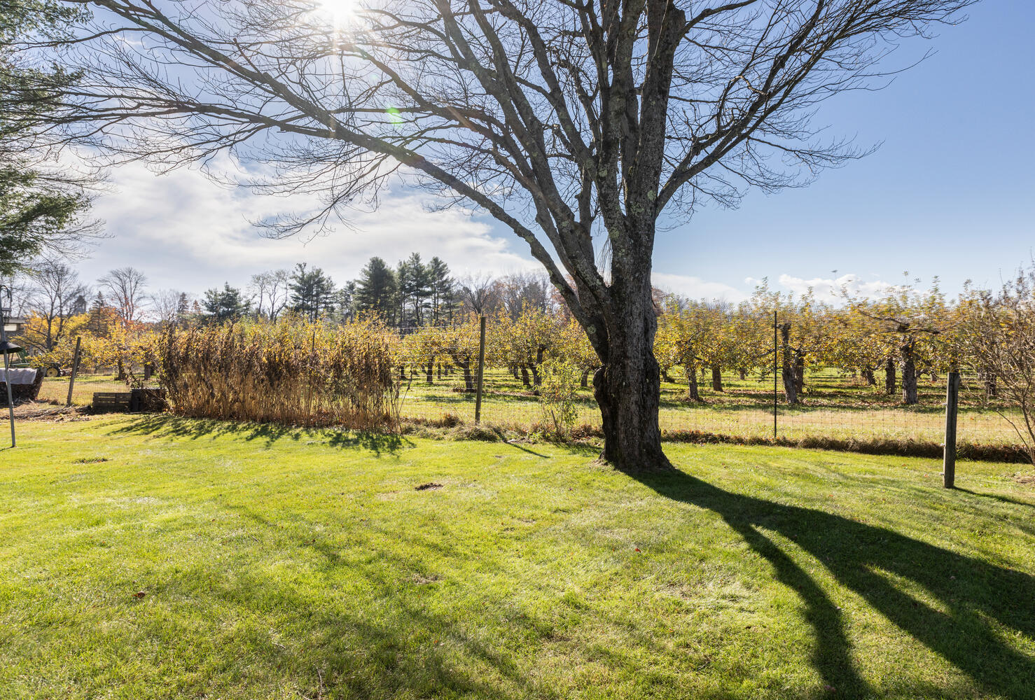 6 Lawn Avenue