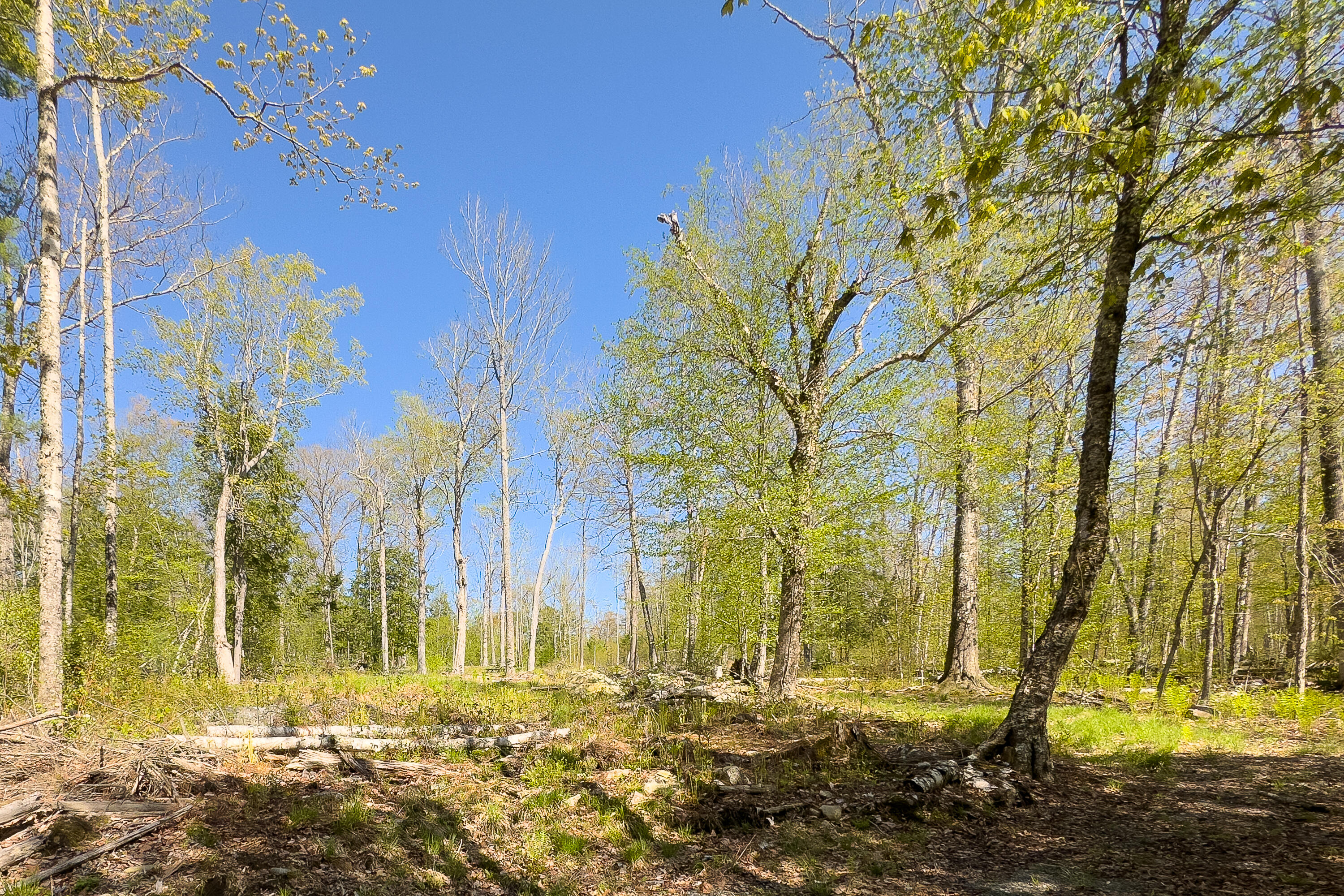 Lot 1E Dunn Road