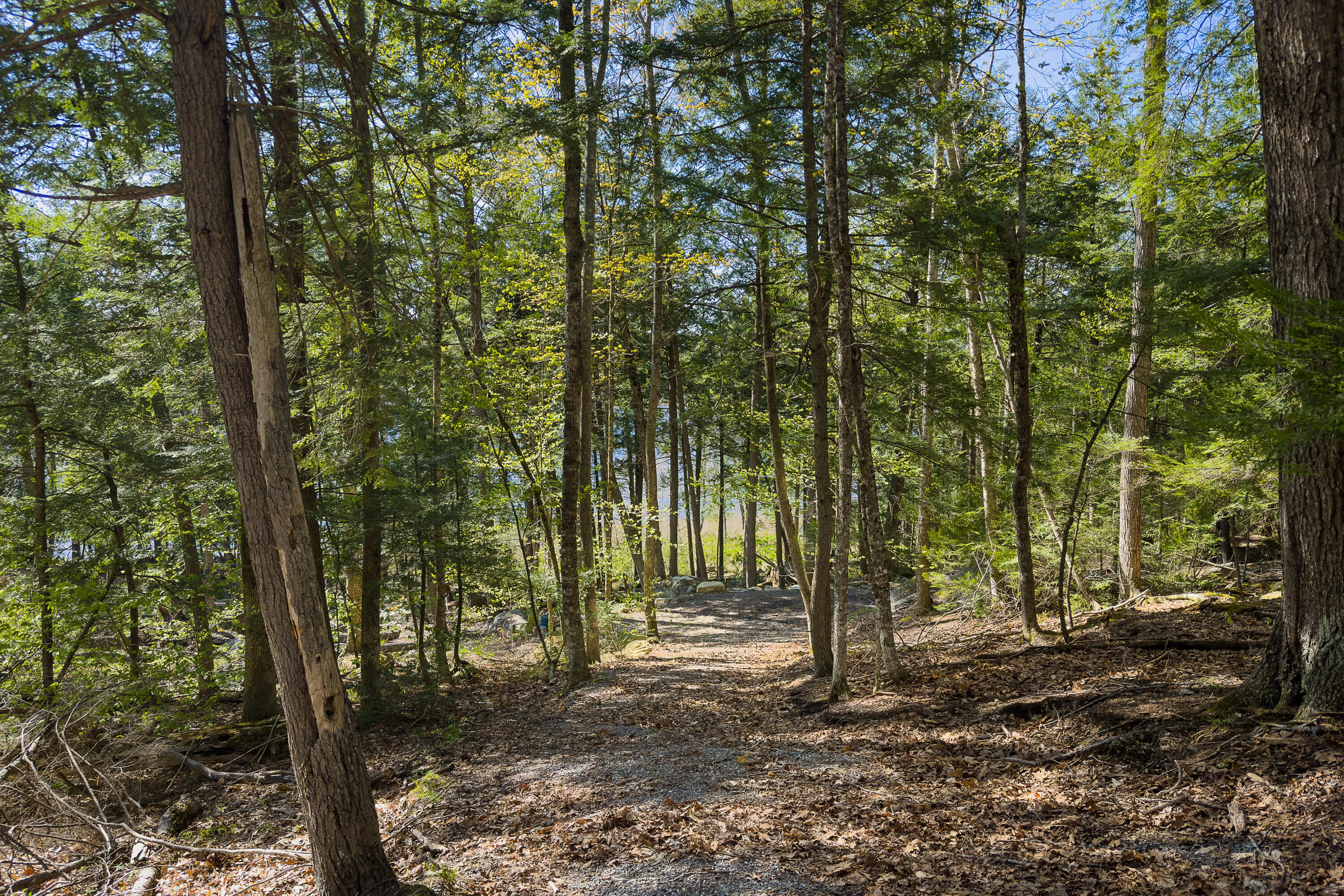 Lot 1E Dunn Road