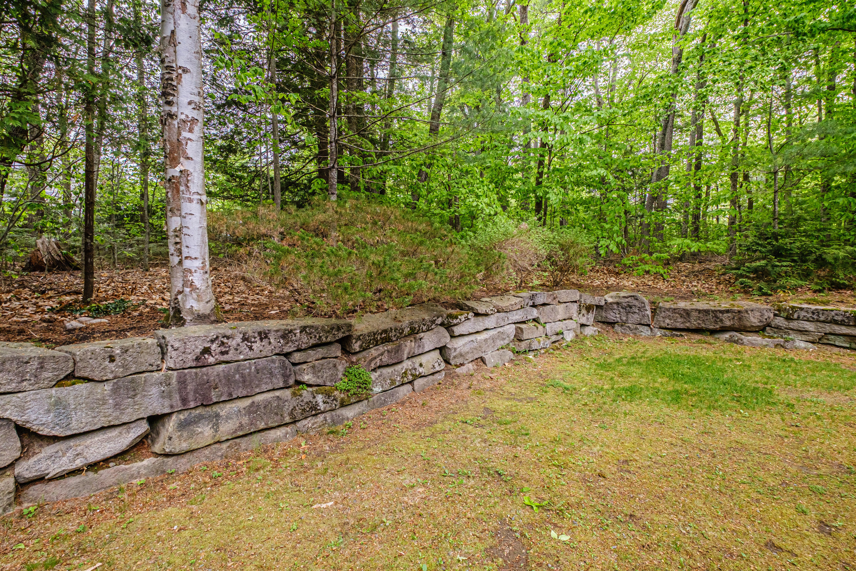 55 Evergreen Lane