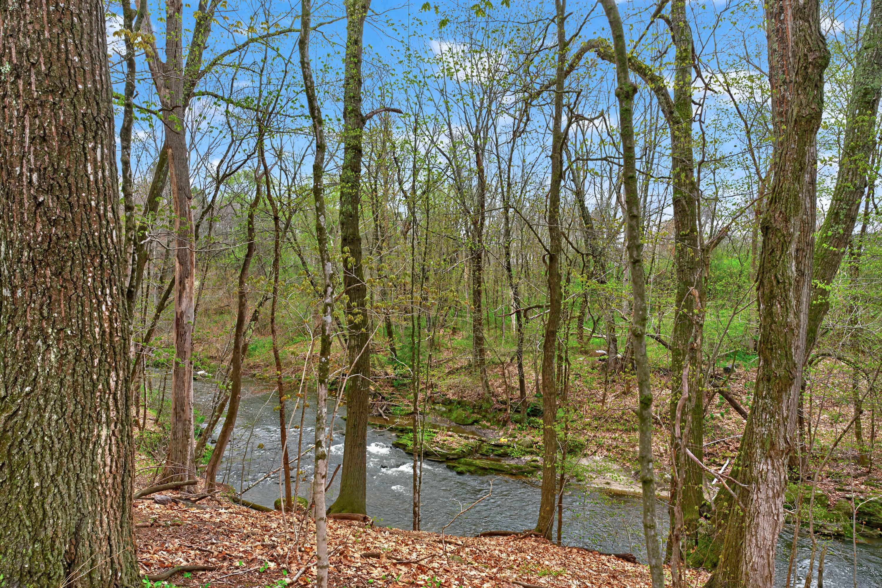 7 River Oaks Way 2