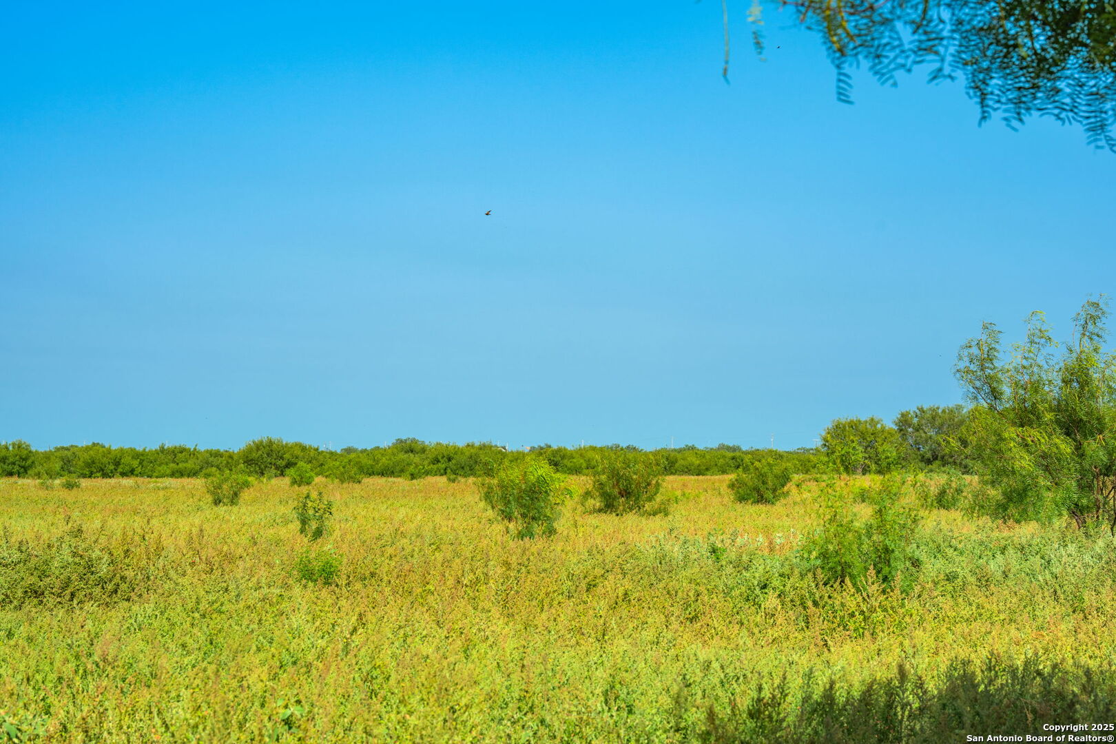 3911 County Road 1000