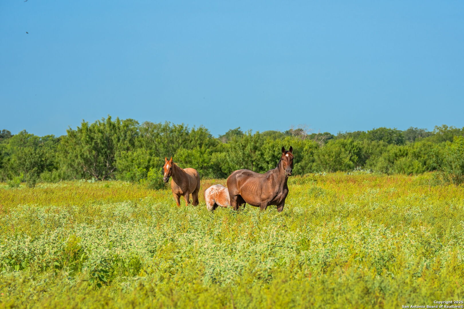 3911 County Road 1000