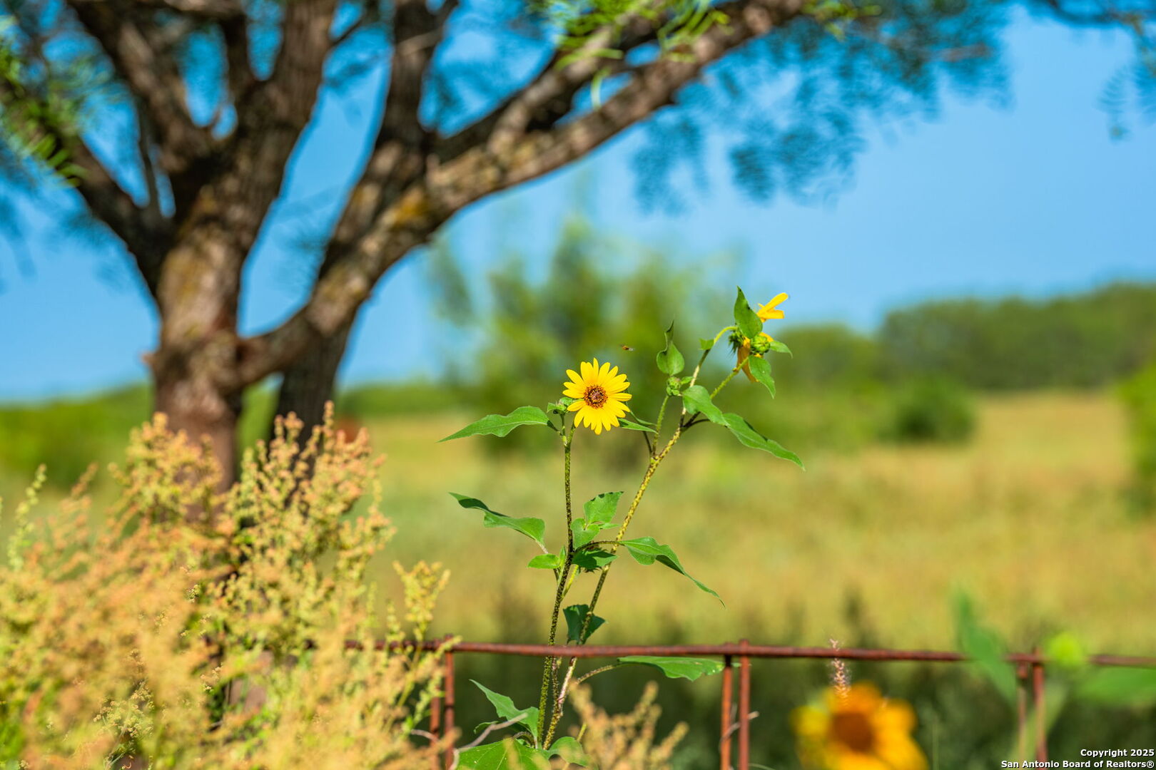 3911 County Road 1000