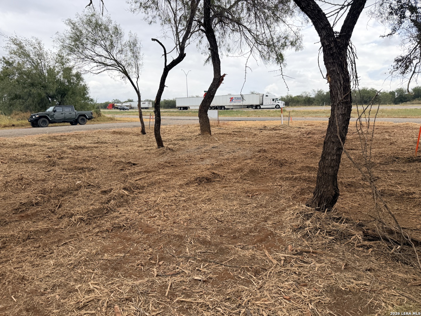 Cleared land with scattered trees beside a road, with a semi-truck passing in the background.