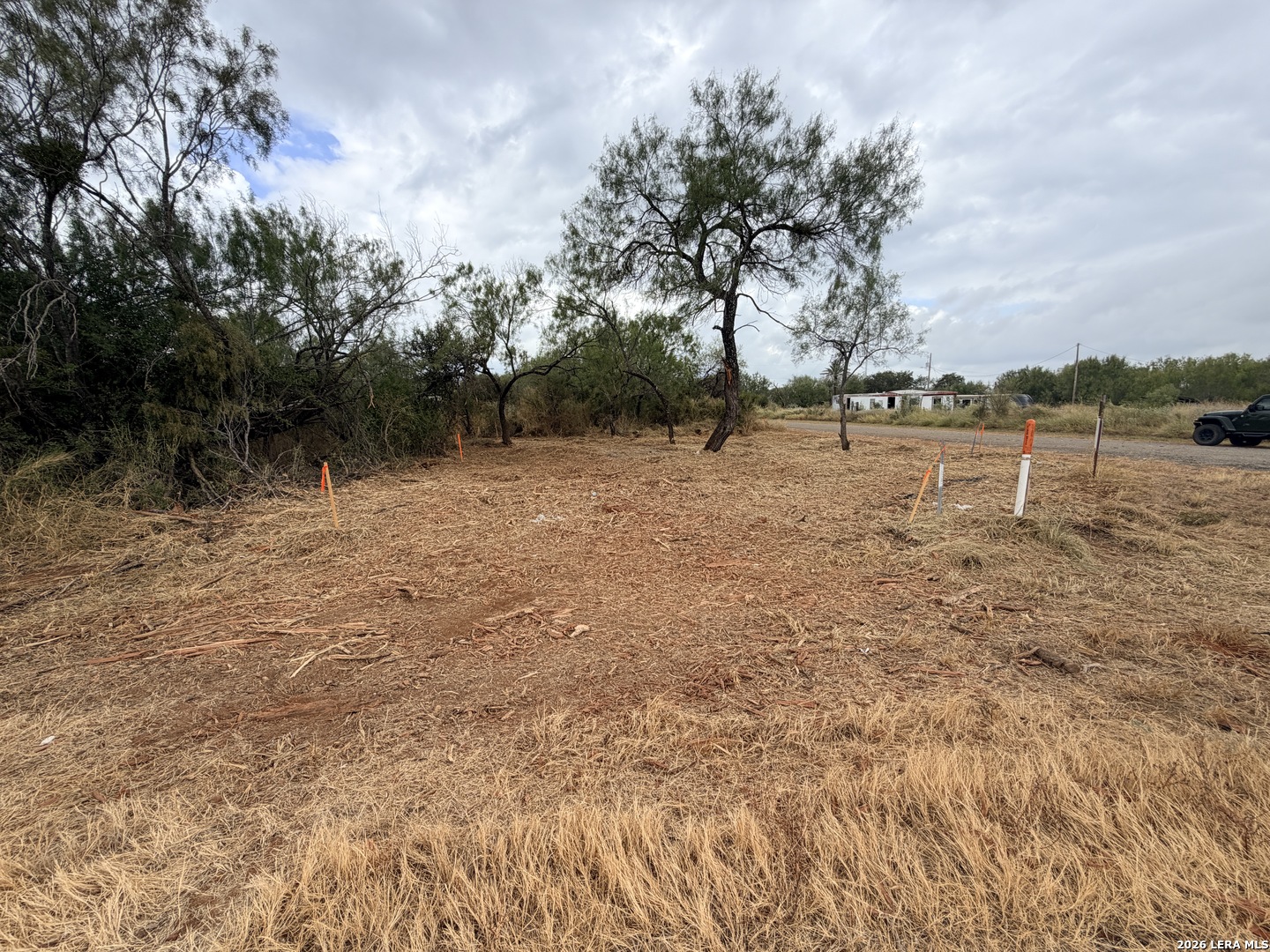 Cleared lot with orange survey markers, scattered trees, and a road at the far edge.