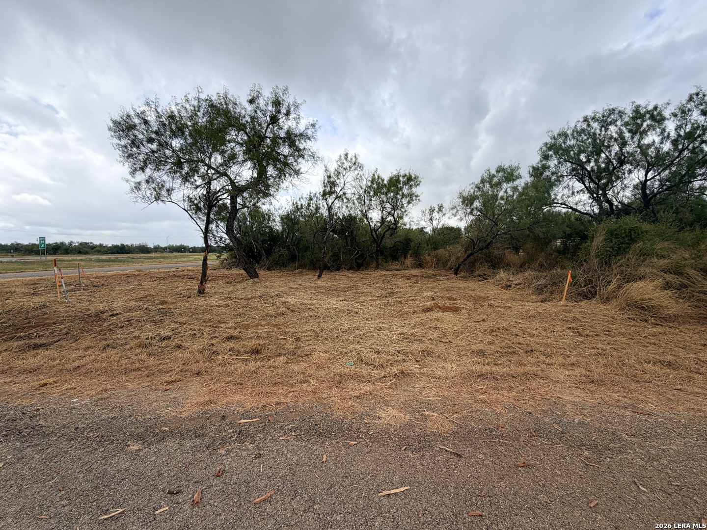 Vacant lot with cleared dry ground, scattered trees, brush, and a road along its edge.