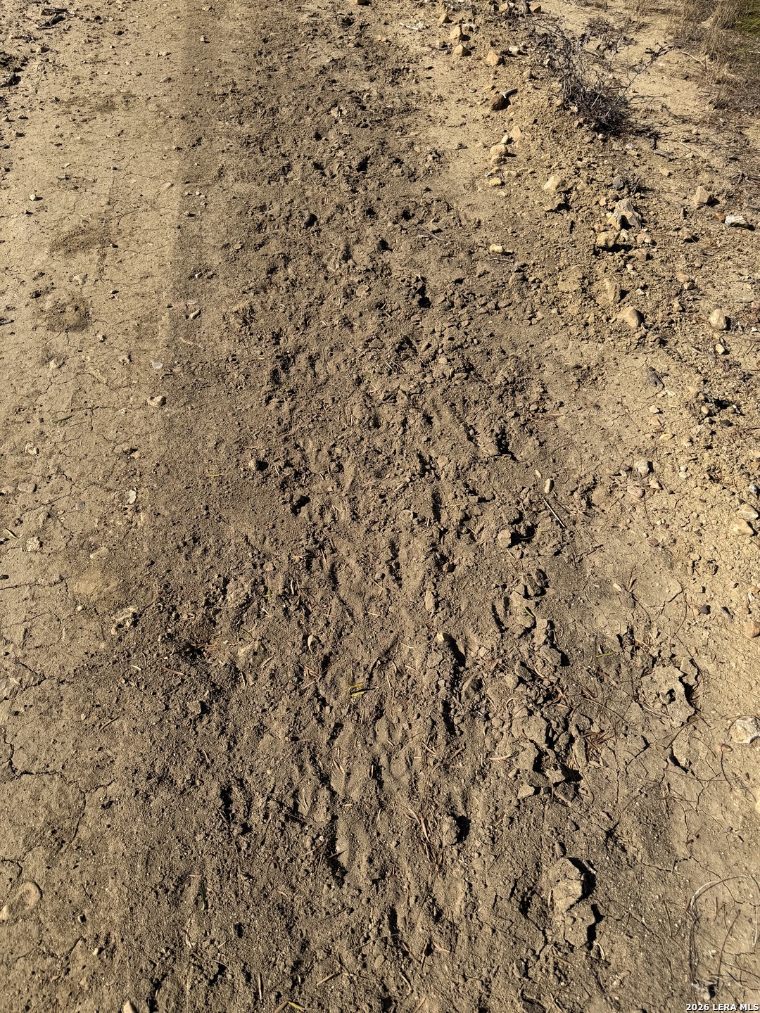 TBD CR 2537/Moore Hollow Road