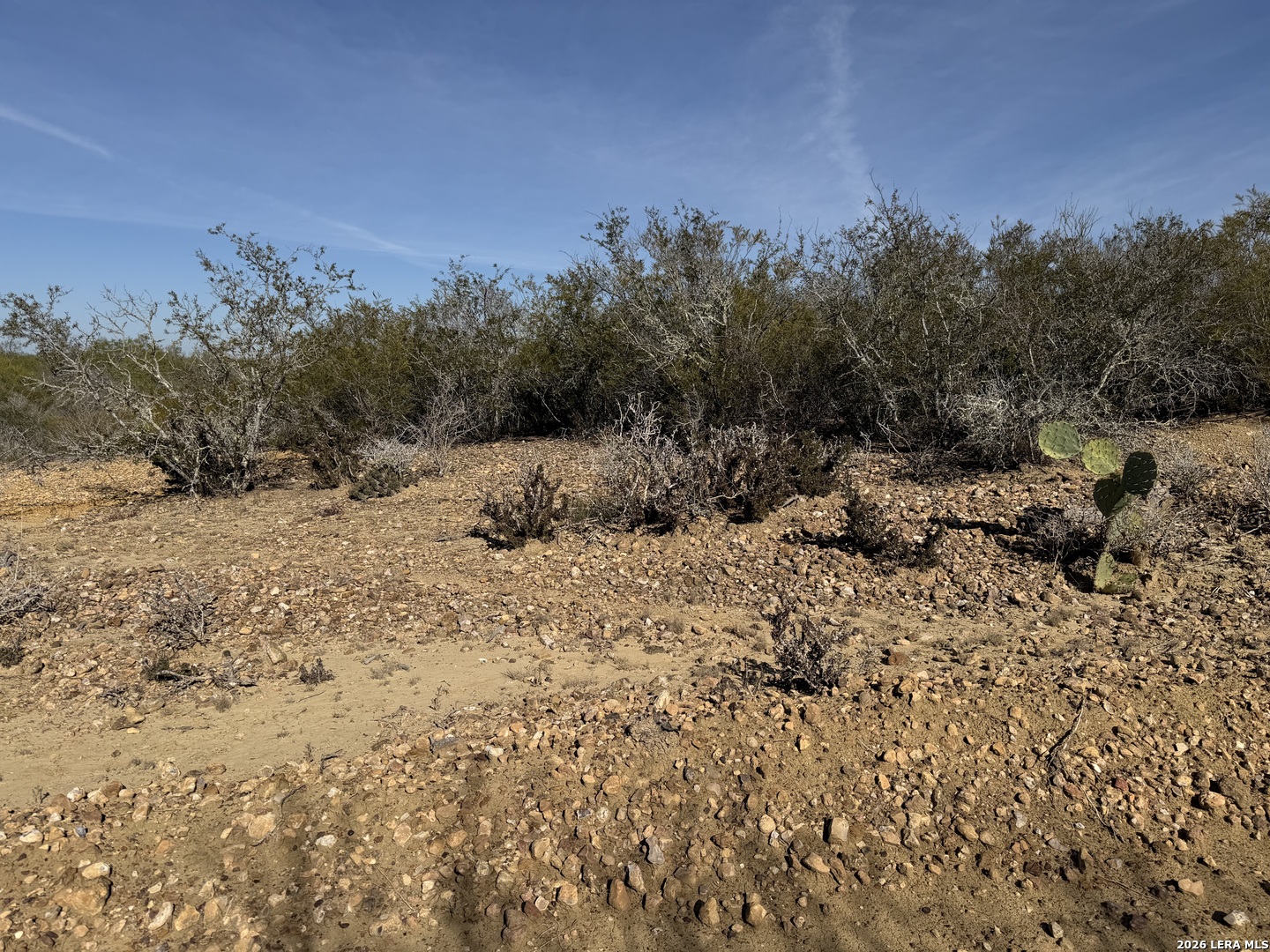 TBD CR 2537/Moore Hollow Road