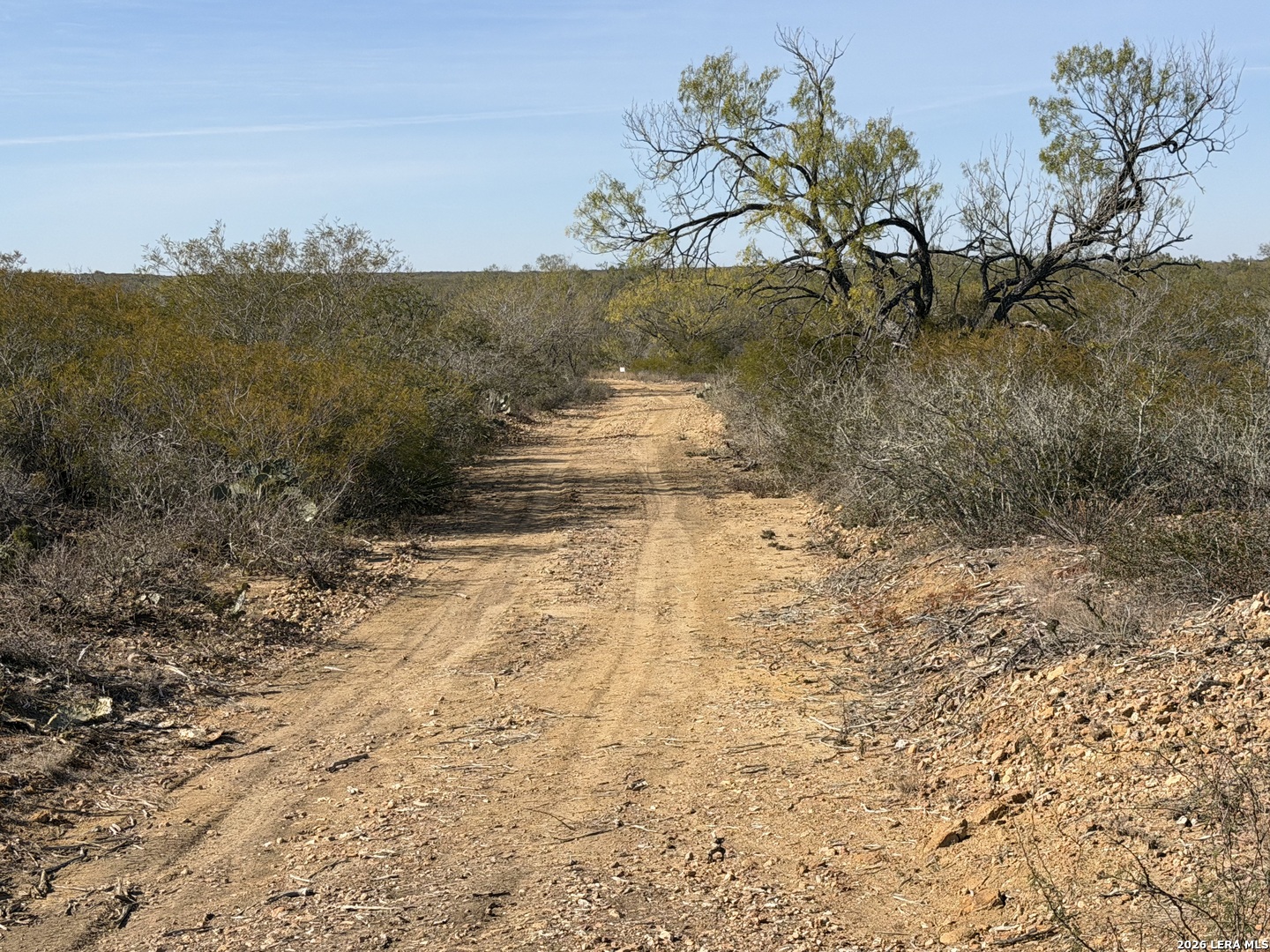 TBD CR 2537/Moore Hollow Road
