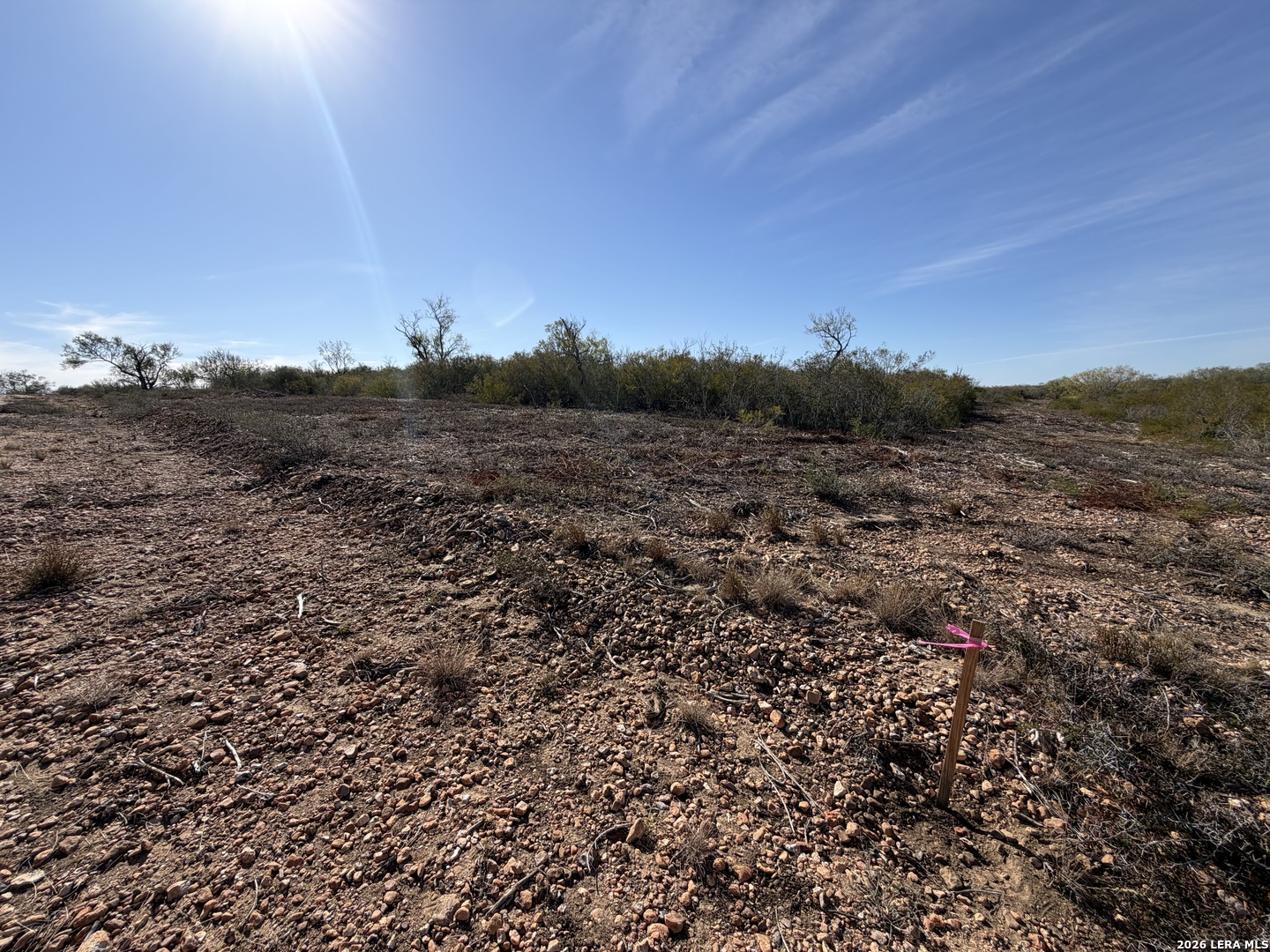 TBD CR 2537/Moore Hollow Road