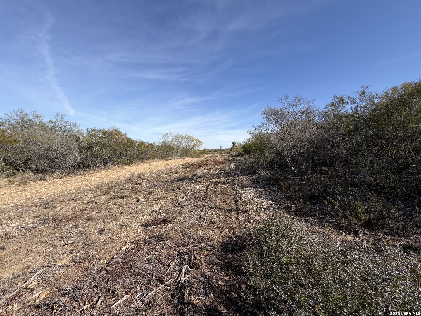 TBD CR 2537/Moore Hollow Road