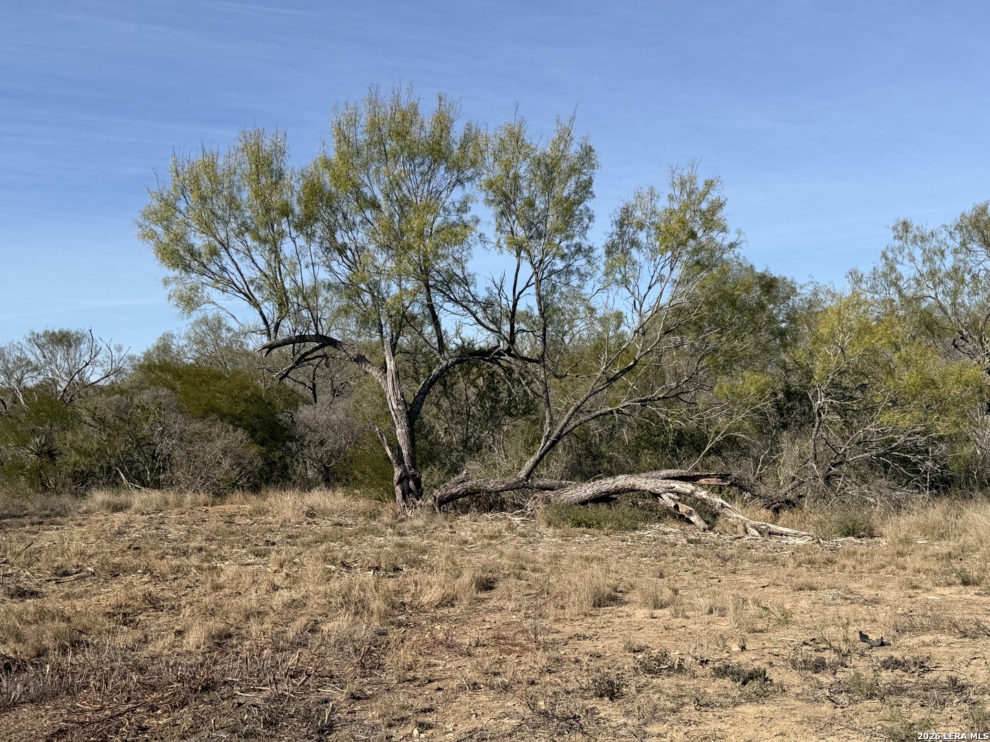 TBD CR 2537/Moore Hollow Road